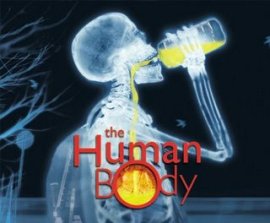 The Human Body